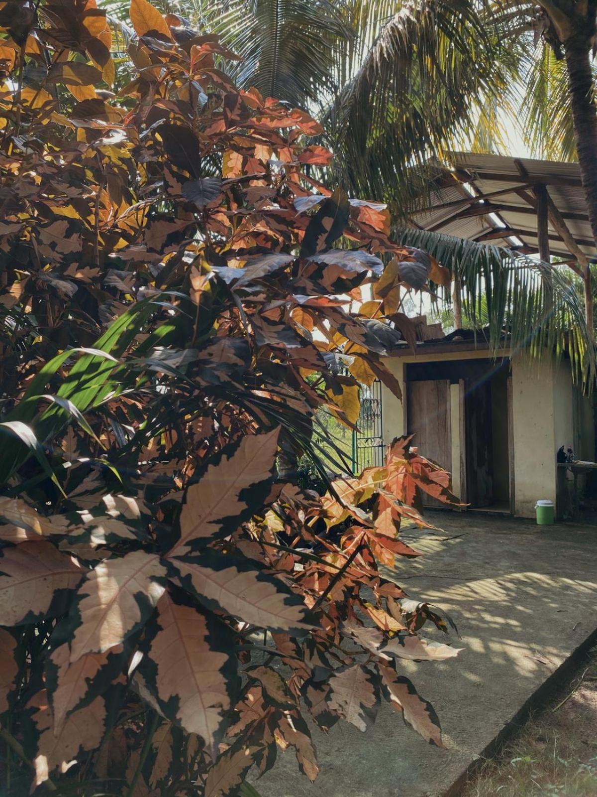 The Captains Iin Chinandega Exterior photo